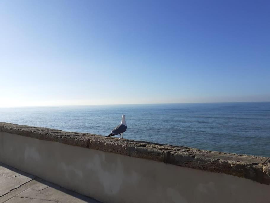 Mar Y Sol Διαμέρισμα Καντίζ Εξωτερικό φωτογραφία